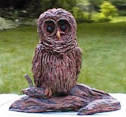 owl