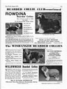 Rowdina,Wishanger,Willowmead '71