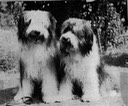 Jayemji Derhue & Beagold Ella